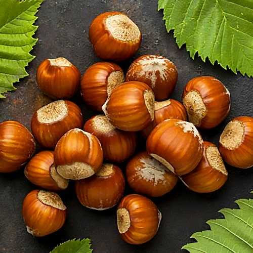 Морозівський